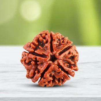 108 Beads Rudraksha Jaap Mala - StyleTag